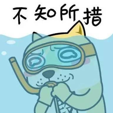 /images/avatar.jpg
